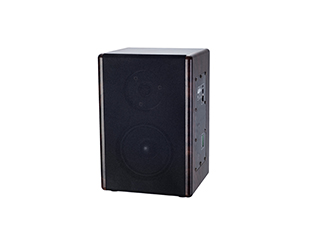 IP室内音箱 MA-9008