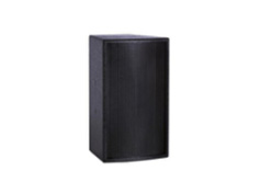 会议多功能厅音箱   DS15