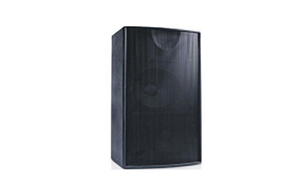 Professional Speaker   F-215